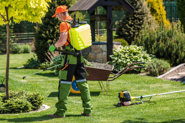 Best Lawn Pest Control  in Ranchettes, WY